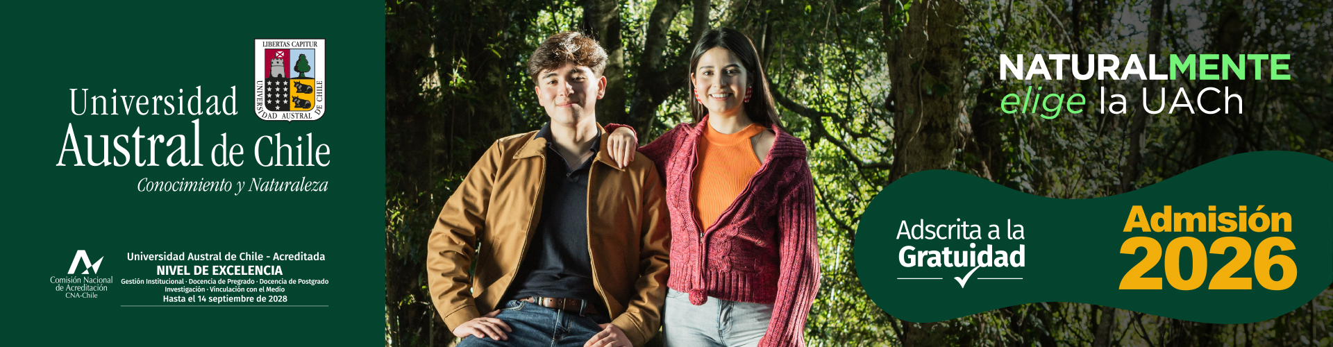 Descripción de la imagen